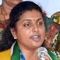 Few YSRCP leaders are backstabbing the party says Roja