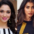 Tamannaah and Pooja Hegde are classmates