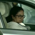Mamata Banerjee discharged from hospital