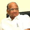 Sarad Pawar comments on BJP chances in poll bound states except Assam
