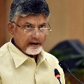 chandrababu meets party leaders