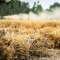 farmers flexies in medak