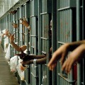 Nearly 8000 Indian prisoners lodged in foreign jails most in Saudi Arabia