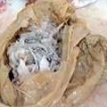 10kg plastic bag retrieved from fish in Attavar