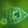 Double mutant corona virus variants identified in India