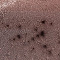 Triniti college researchers reveals the mystery of Spiders on Mars