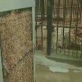 Air Coolers for animals in Hyderabad Zoo