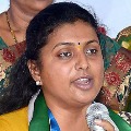 YSRCP leaders perfoms Homam for fast recovery of Roja