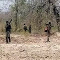 30 naxals dies 