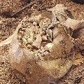 Treasure pot found in Pembarti village in Janagam district