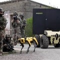 French army tests robot dog Spot for battlefield