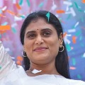 YS Sharmila fires on KCR