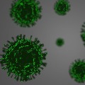  70 percent samples in chandigarh have UK strain virus