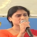 sharmila slams kcr