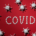 India reports 314835 new COVID19 cases 