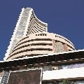 Sensex closes 558 points high