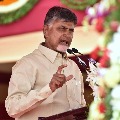 Chandrababu opines on Sangam Dairy issue