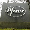 Pfizer oral medicine for Covid19 could be ready by next year says CEO