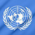 india rejects un help