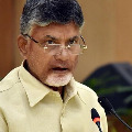 chandrababu slams jagan