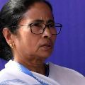 mamata banerjee on lead 