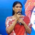 YS Sharmila fires on KCRs Rule