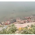 Centre issues notice to Uttar Pradesh and Bihar after dead bodies spotted at Ganga River