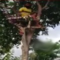 After tested corona positive BTech student shifted upon a tree for isolation