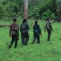 13 Maoists killed in police encounter in Gadchiroli 