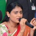 YS Sharmila Slams KCR