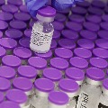 India Pfizer Seek To Bridge Dispute Over Vaccine Indemnity