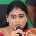 YS Sharmila fires on KCR