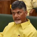 TTDP leaders urge chandrababu to focus on Telangana