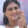 sharmila slams kcr