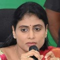 YS Sharmila to visit KCR constituency Gajwel tomorrow 