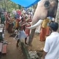 Elephant bids final farewell for his mahout in Kerala