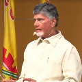 chandrababu writes letter to collector