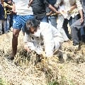 Will pressurise govt till each farmer gets compensation says Pawan Kalyan