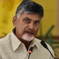 Chandrababu comments on YSR statue at Polavaram project