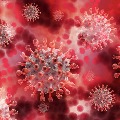 coronavirus new variant found in telangana and andhra pradesh