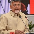 chandra babu slams ycp