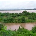 River Godavari flows Over Danger level