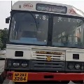 TSRTC decided to run city buses