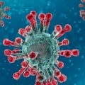 Corona virus is weakening says a study
