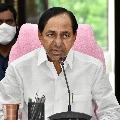 CM KCR held meeting on Agriculture sector in Telangana