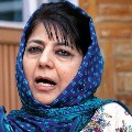 Wont fight elections till Article 370 restored says Mehbooba Mufti