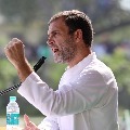 Rahul Gandhi says hate marred cricket also