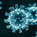 AP Corona Virus spreading statistics 