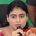 Never contacted Jagan says Sharmila