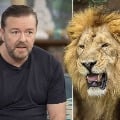 London Zoo refuses to grant Ricky Gervais his dying wish 